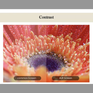 Contrast demonstration on ALR projection screen versus a regular screen.