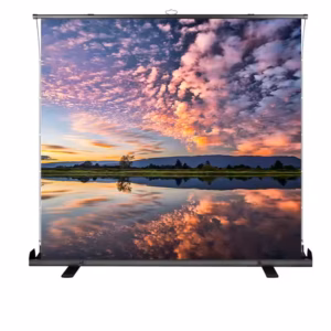 Motorised Floor Rising Projection Screen displaying vibrant image in a home setup